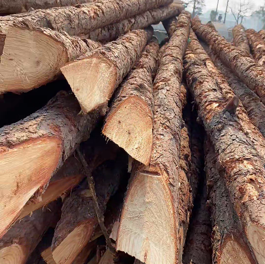 松木樁施工隊(duì)泓樺錦嘉 - 原木松木樁怎么辨別是否為實(shí)心？