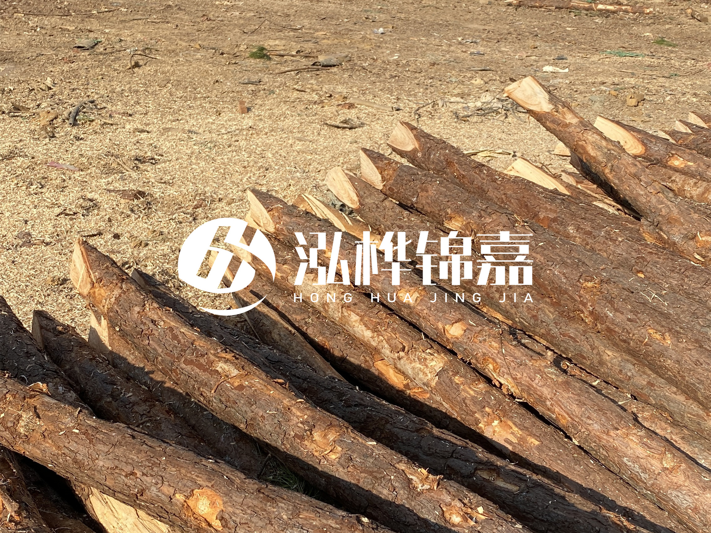 松木樁施工隊(duì)泓樺錦嘉 - 落葉松的直徑能達(dá)到20cm嗎？