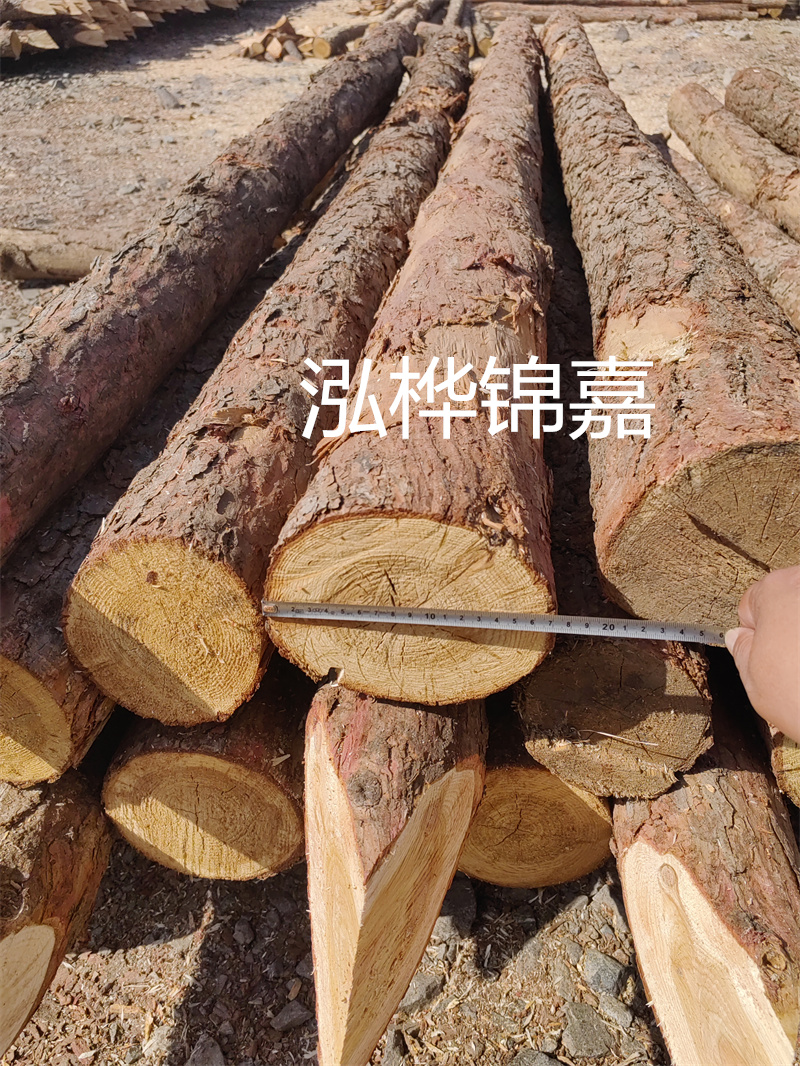 蘋果手機(jī)怎么越獄,愛思助手手機(jī)app下載蘋果版